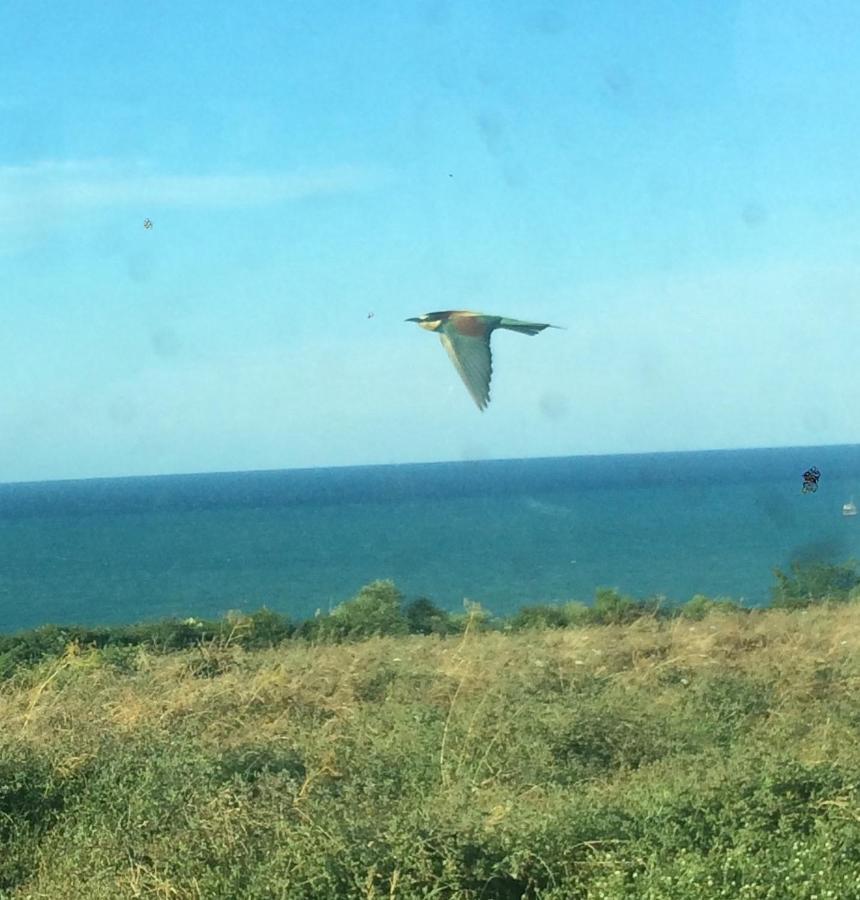 Agriturismo La Costa Dei Trabocchi Torino di Sangro Buitenkant foto