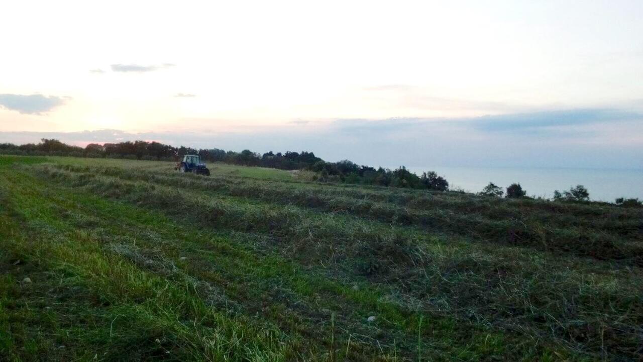 Agriturismo La Costa Dei Trabocchi Torino di Sangro Buitenkant foto