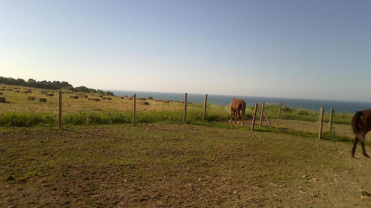 Agriturismo La Costa Dei Trabocchi Torino di Sangro Buitenkant foto